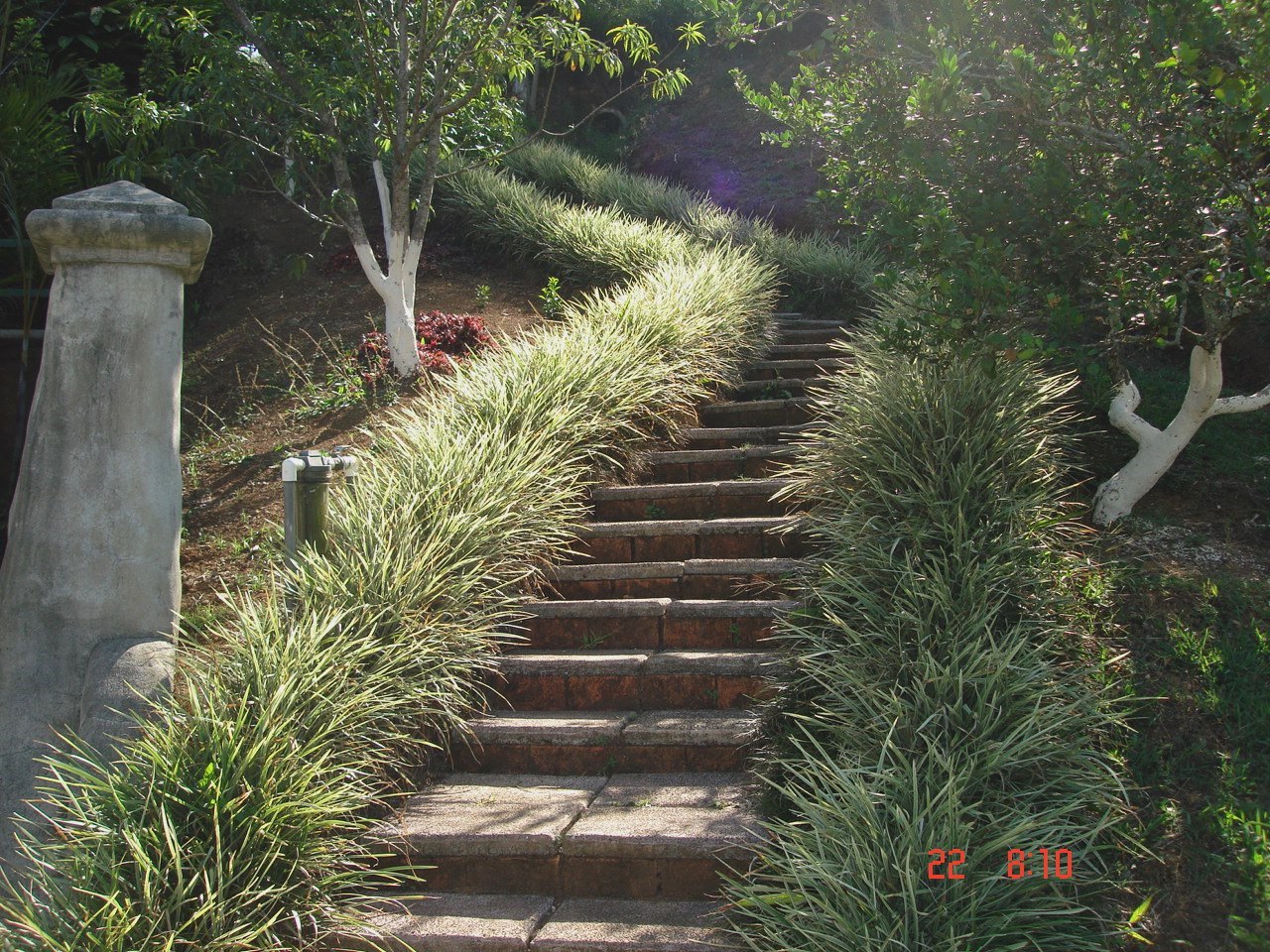 01 YEAR 2007 -  FLIGHT OF STEPS AS VIEWED FROM BELOW.JPG