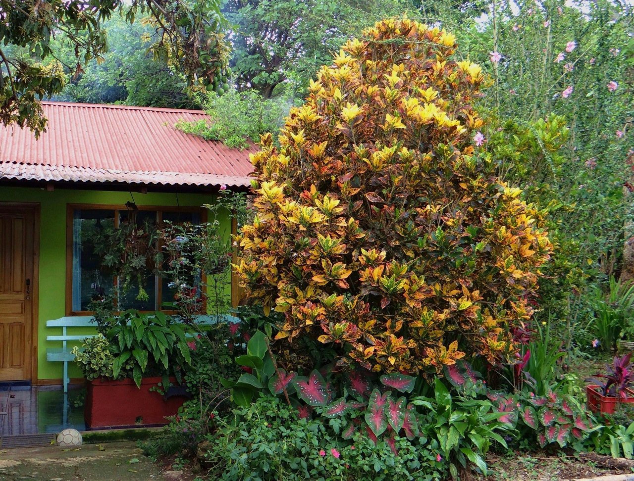 02 STEWARTII-COUNTRY GARDEN.jpg