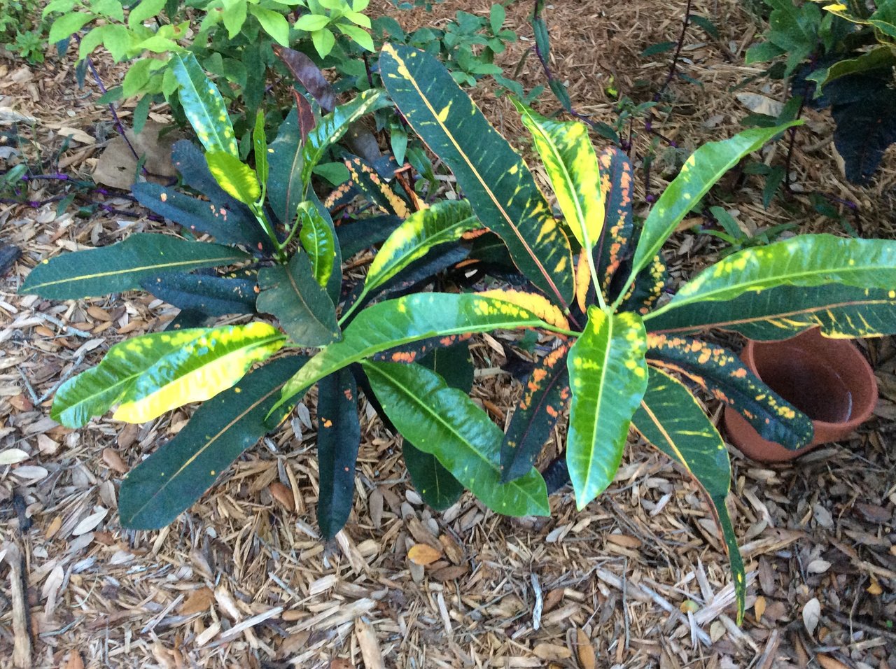 Catch of The Day.JPG