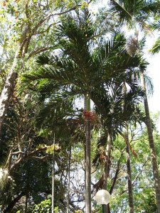 cairns holiday 257.jpg