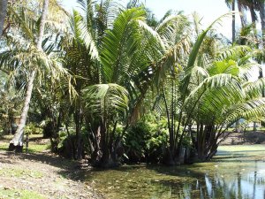 cairns holiday 256.jpg