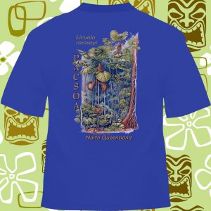 PACSOALicSS copy.jpg