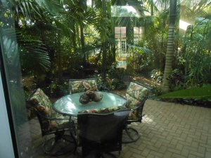 R #29 Trop View back.JPG