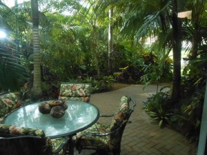 R #30 Trop View back.JPG