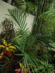 R #32  E wall Unk.JPG