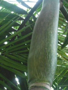 R #76 Chab Water.jpg