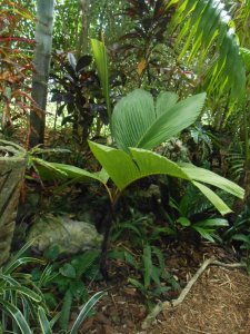 R #112 Vers Splend.JPG