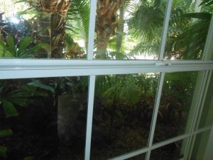 R #126 Office view.JPG