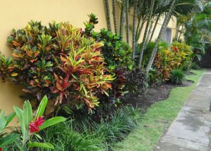 11 INTERESTING SIDEWALK PRESENTATION.JPG