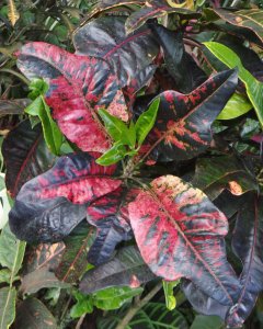 03 EARLY MORNING SUN UNTIL 8 a.m..JPG