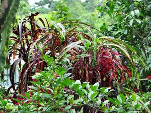 07 NEIGHBORS 'PINK SPOTS'.jpg