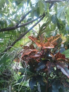 2011-07-25 16.10.54.jpg