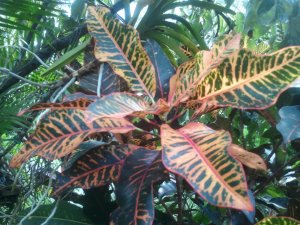 2011-07-25 16.11.57.jpg