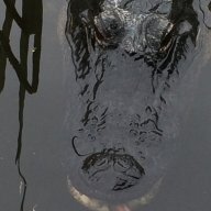 Keith Winter Haven FL